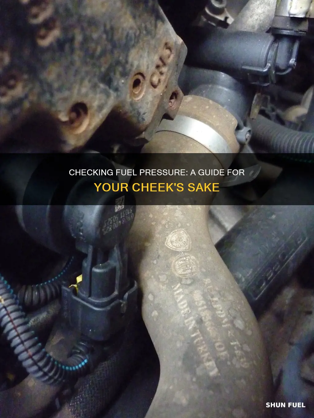 how to check cheek fuel pressure