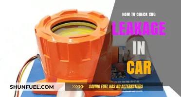 Safeguard Your Ride: A Guide to Detecting CNG Leaks in Your Car