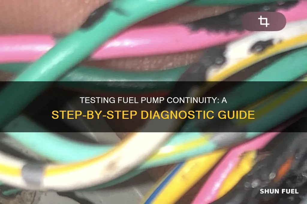 how to check continuity for fuel pump
