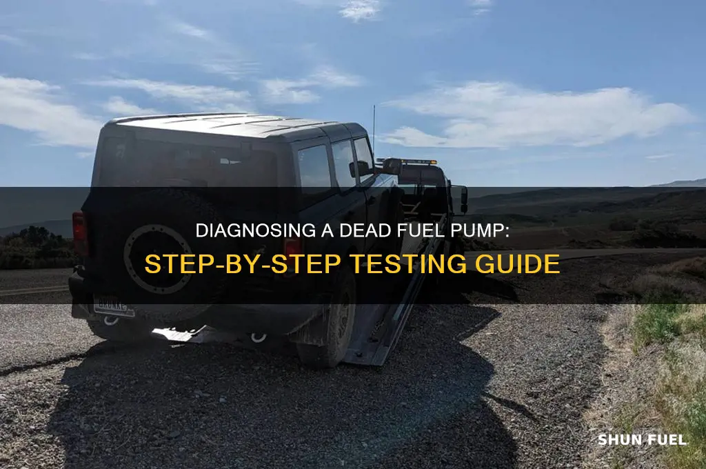 how to check dead fuel pump