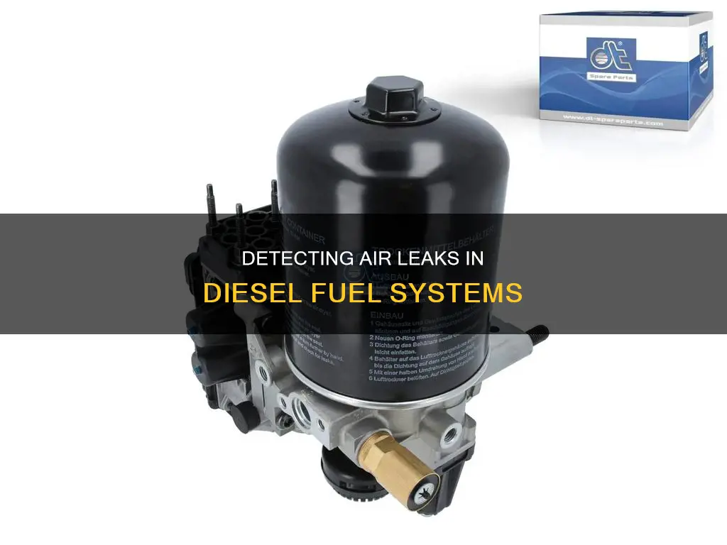 how to check for air leak in diesel fuel system
