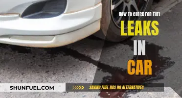 Spotting Fuel Leaks: A Guide for Car Owners