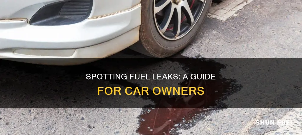 how to check for fuel leaks in car