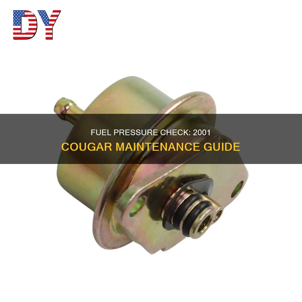 how to check for fuel pressure on my 2001 cougar