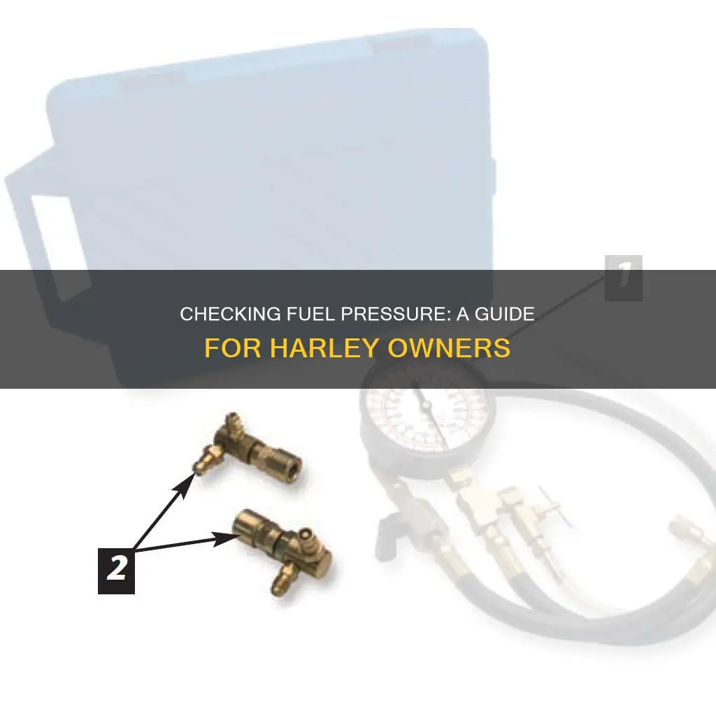 how to check for fuel pressure with harley