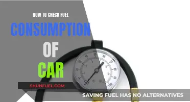 Car Fuel Efficiency: Tips to Monitor Your Car's Fuel Usage