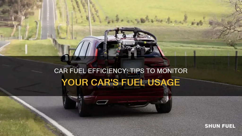 how to check fuel consumption of car