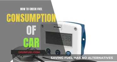 Maximizing Mileage: Tracking Your Car's Fuel Consumption