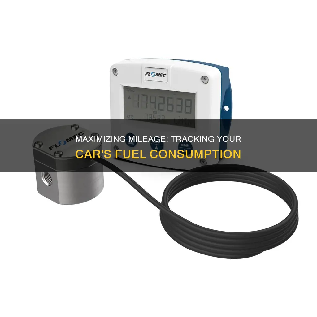 how to check fuel consumption of car