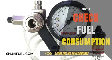 Mastering Fuel Efficiency: Simple Steps to Check Your Vehicle's Consumption