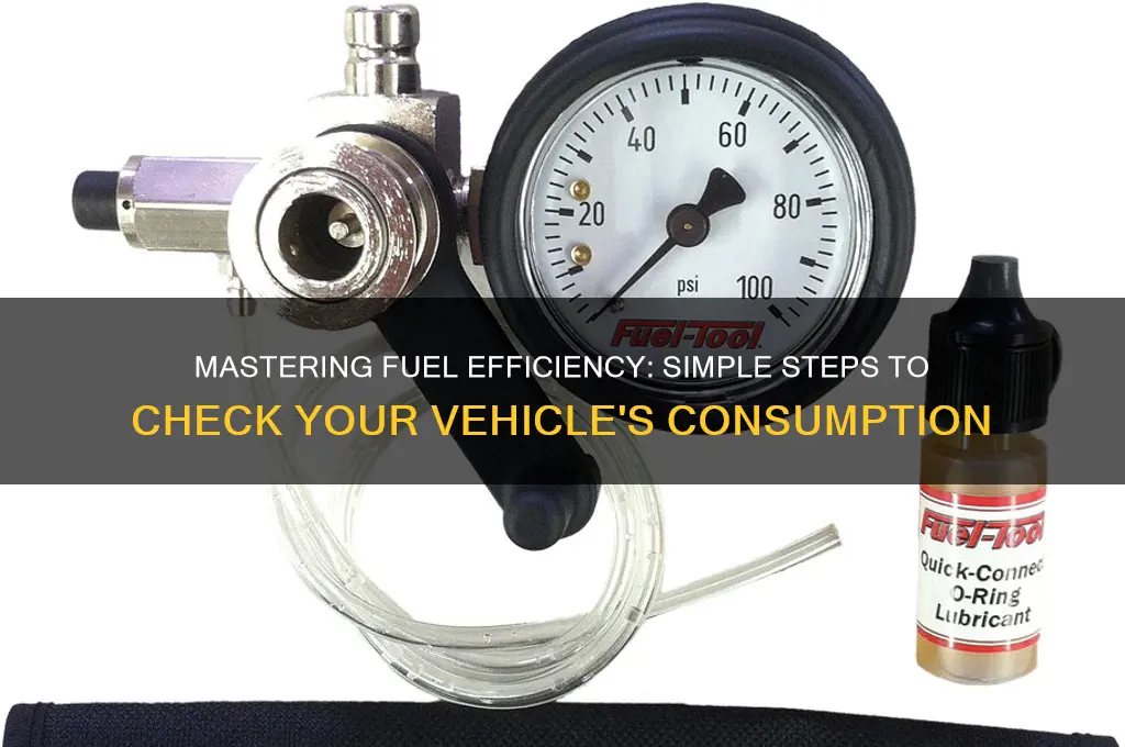 how to check fuel consumption