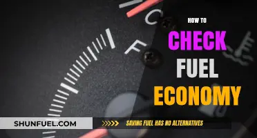 Maximize Your Mileage: Simple Steps to Check Fuel Economy