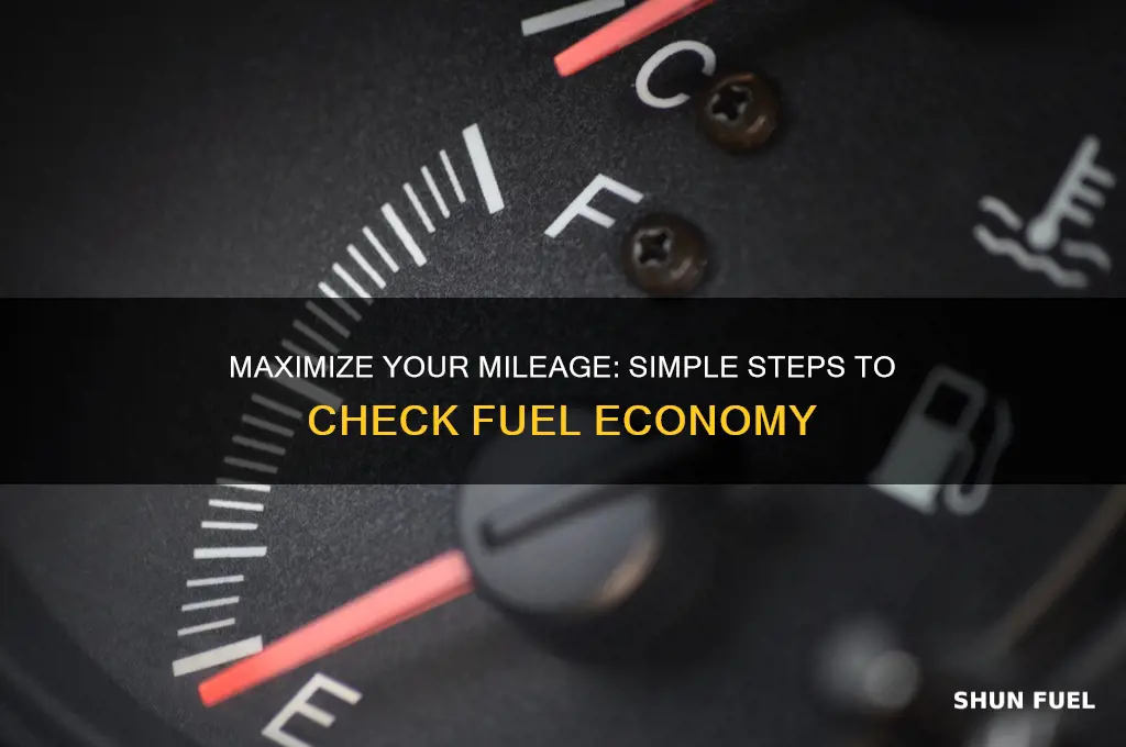 how to check fuel economy