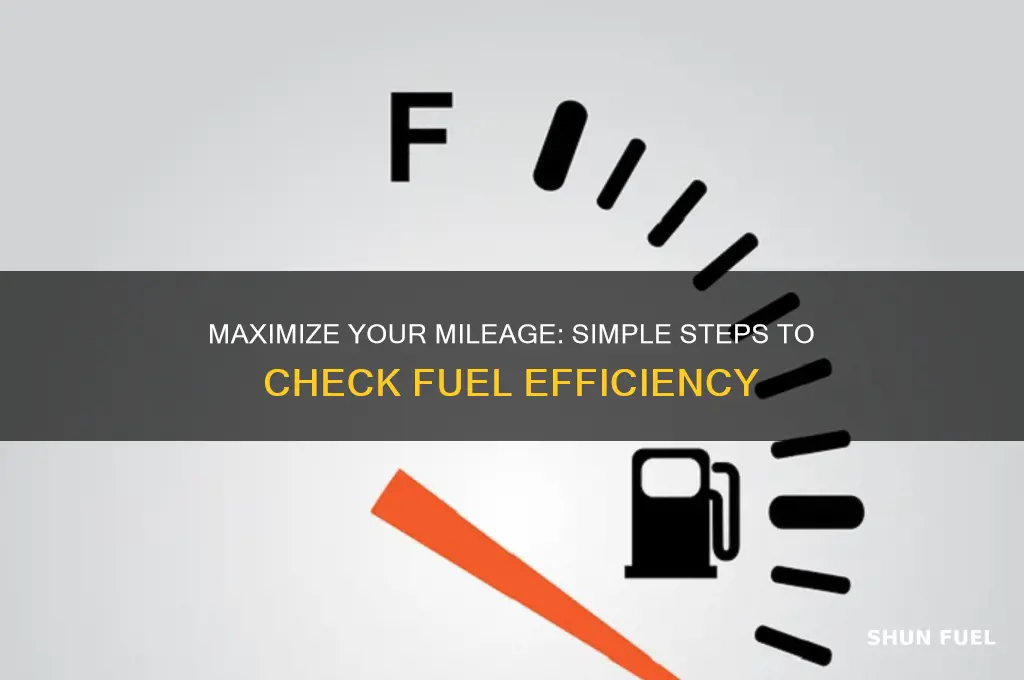 how to check fuel efficiency