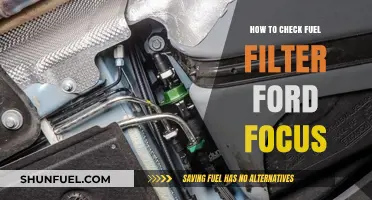 Ford Focus: Checking the Fuel Filter