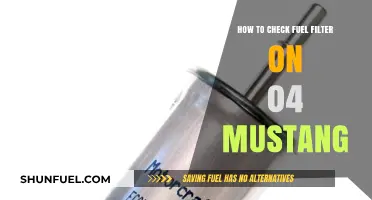 Mustang Fuel Filter: How to Check and Change