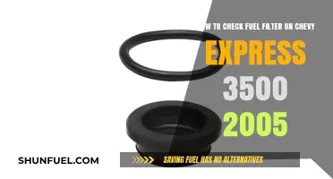 Chevy Express 3500: Checking the Fuel Filter