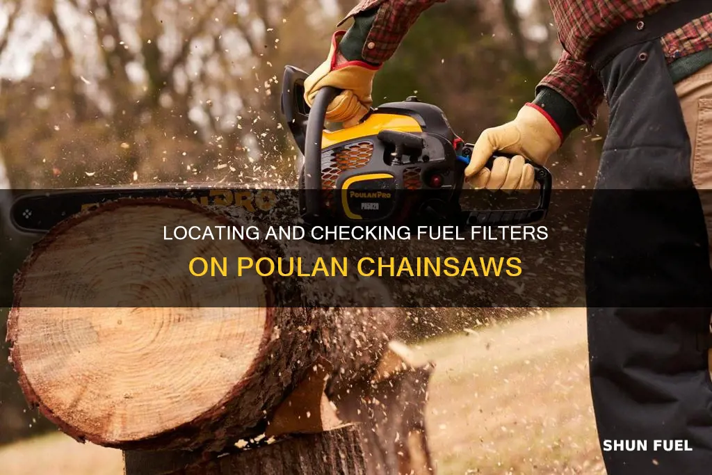 how to check fuel filter on poulan chainsaw