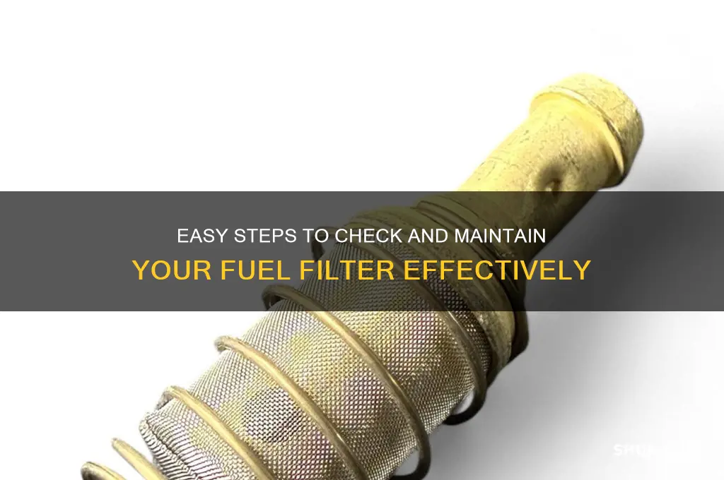 how to check fuel folter