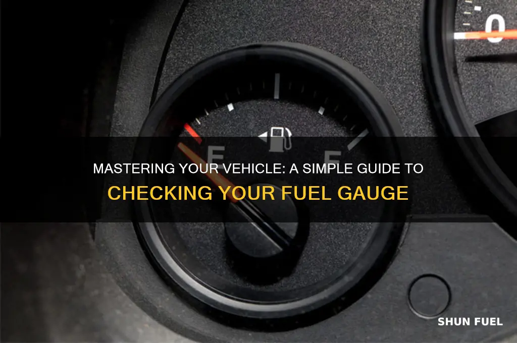 how to check fuel gage