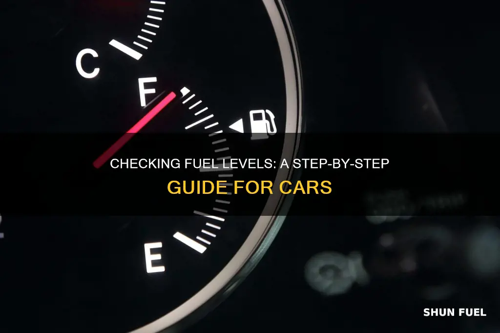 how to check fuel in car