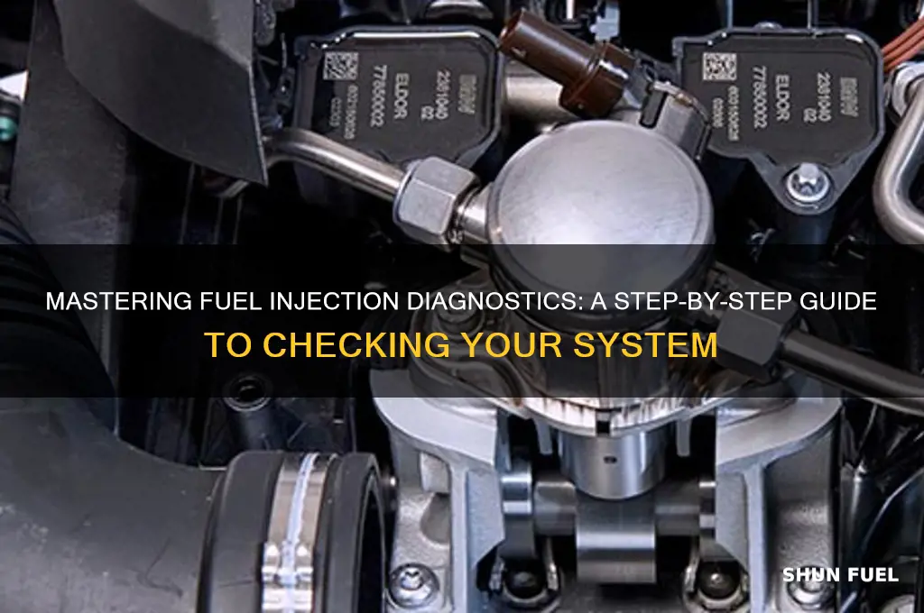 how to check fuel injection