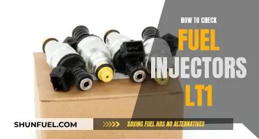 Checking Fuel Injectors: LT1 Maintenance Guide