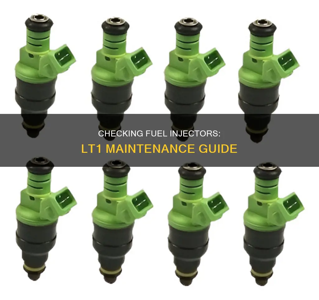 how to check fuel injectors lt1