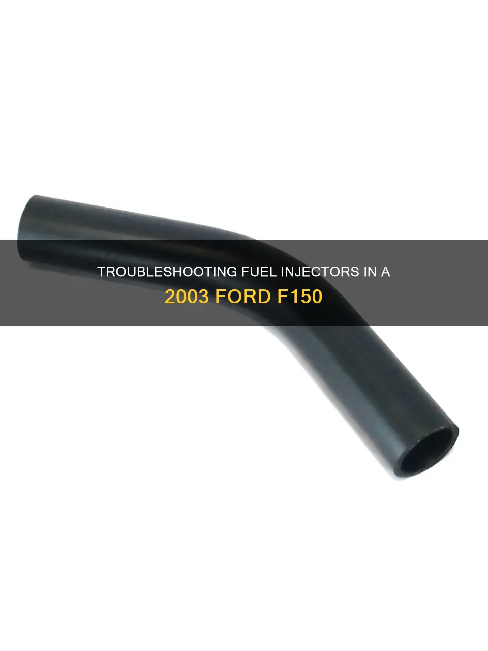 how to check fuel injectors on 2003 ford f150