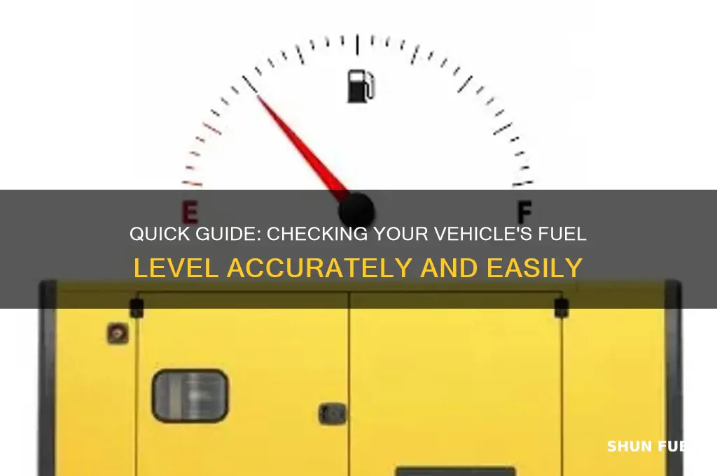 how to check fuel level