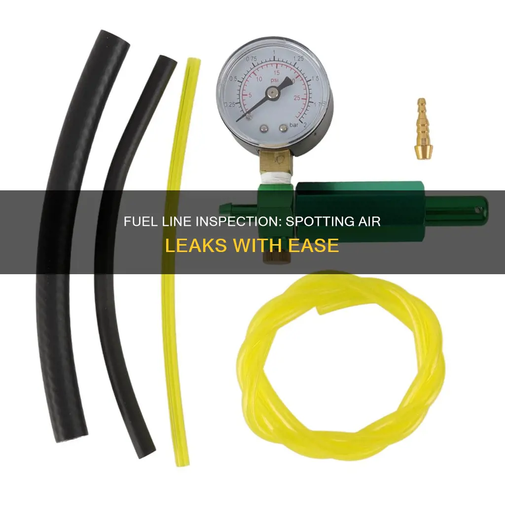 how to check fuel line for air leaks