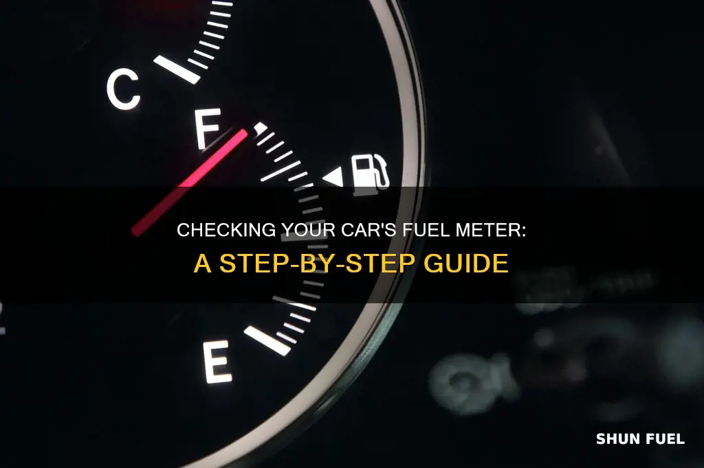 how to check fuel meter in car