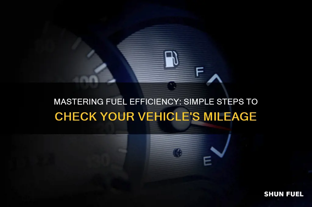 how to check fuel mileage