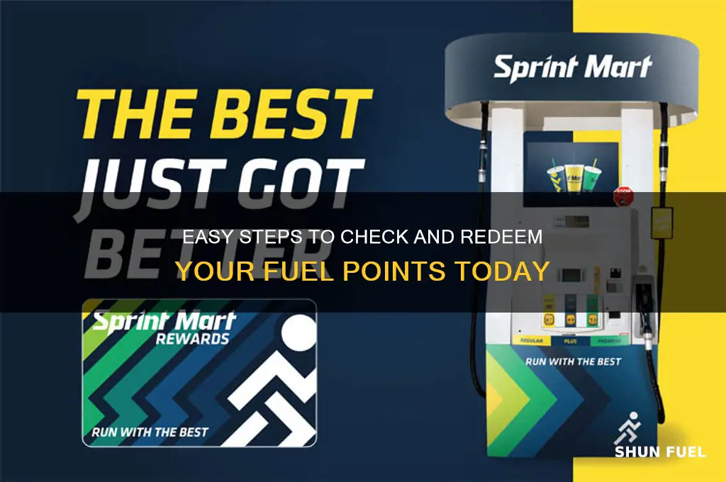 how to check fuel points