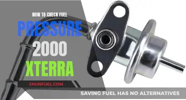 Checking Fuel Pressure: 2000 Xterra Guide