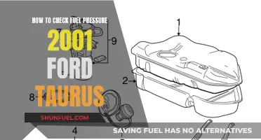 Checking Fuel Pressure: 2001 Ford Taurus Guide