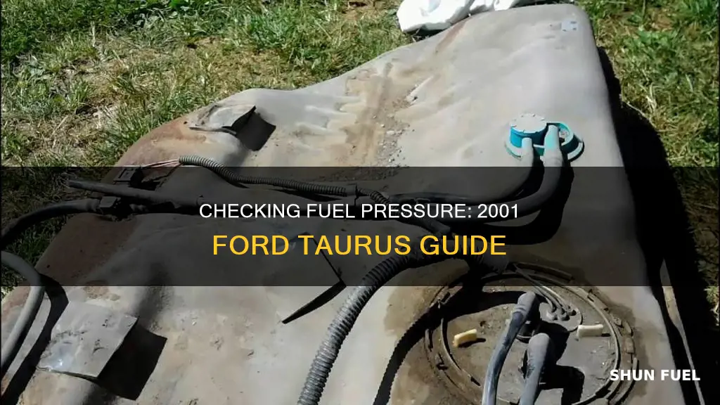 how to check fuel pressure 2001 ford taurus