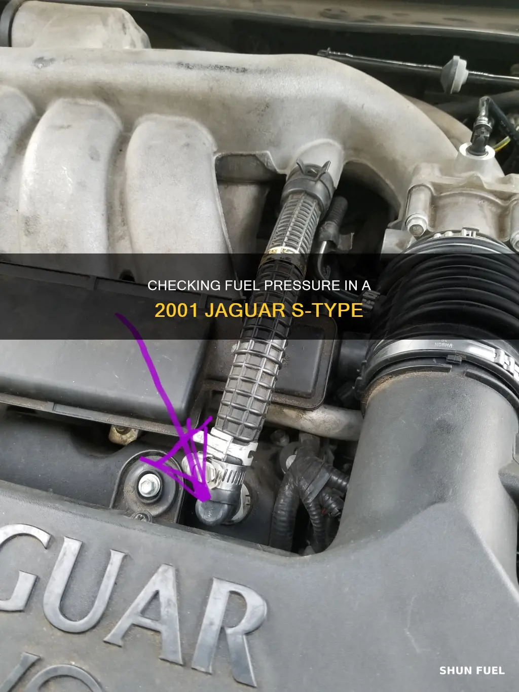 how to check fuel pressure 2001 jaguar s type