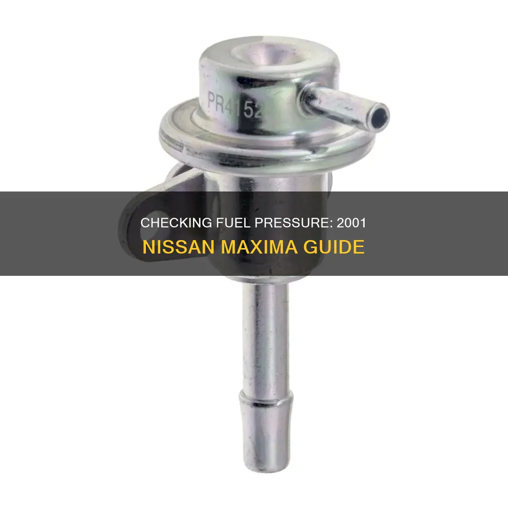 how to check fuel pressure 2001 nissan maxima