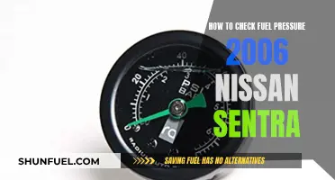 Checking Fuel Pressure: 2006 Nissan Sentra Guide