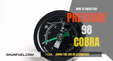 Checking Fuel Pressure: 98 Cobra Maintenance Guide