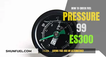 Checking Fuel Pressure: 99 ES300 Guide