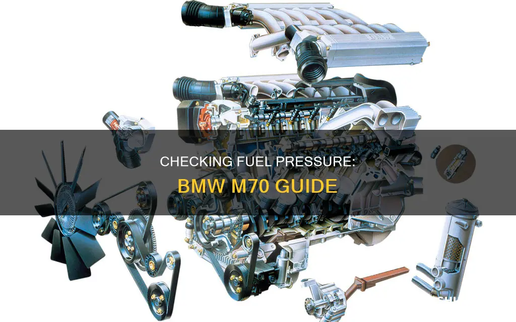 how to check fuel pressure bmw m70