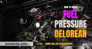 Checking Fuel Pressure: DeLorean's Vital Maintenance Guide