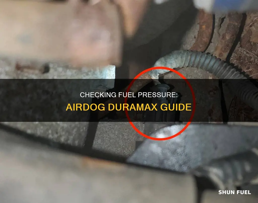 how to check fuel pressure duramax airdog