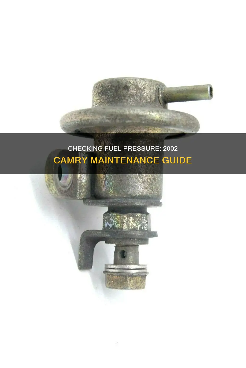 how to check fuel pressure for 2002 camry