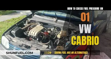 Checking Fuel Pressure: 01 VW Cabrio Guide