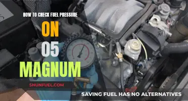 Checking Fuel Pressure: 05 Magnum Maintenance Guide