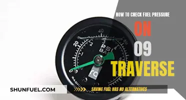 Checking Fuel Pressure: 09 Traverse Guide