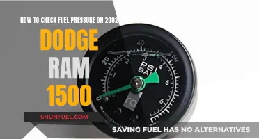 Checking Fuel Pressure: 2002 Dodge Ram 1500 Guide